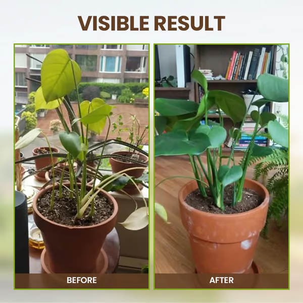🌱Aktywator gleby wspomagający rozwój korzeni